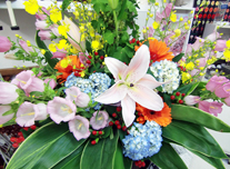 つぼ花 288 ￥8,000(税抜)