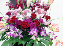 つぼ花 293 ￥8,000(税抜)