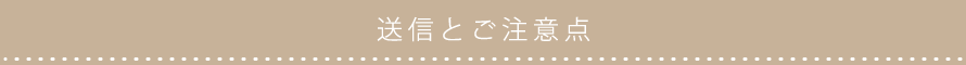 送信とご注意点