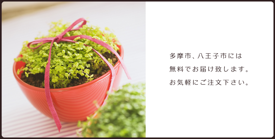 多摩市八王子市はお届け無料です。お気軽にご注文下さい。