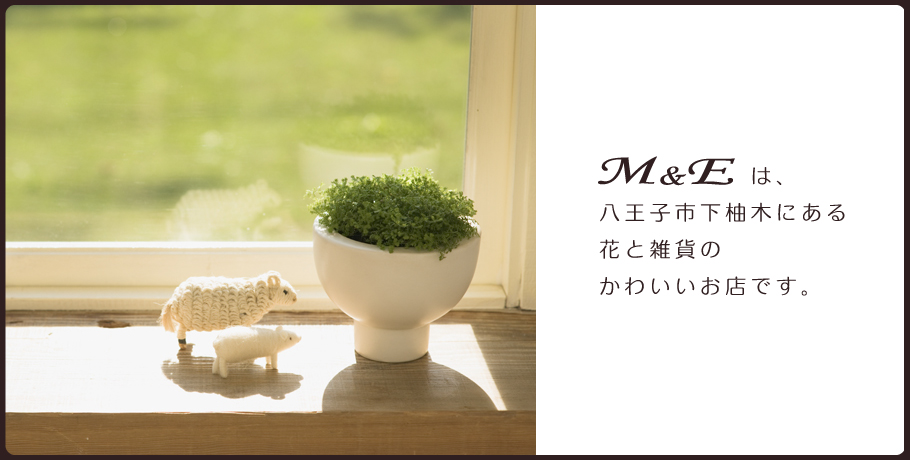 M&Eは八王子市下柚木にある花と雑貨のかわいいお店です。